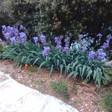 Ecco Nature Zastrazisce