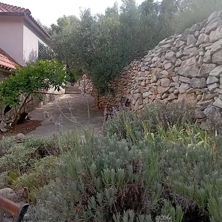 Ecco Nature *